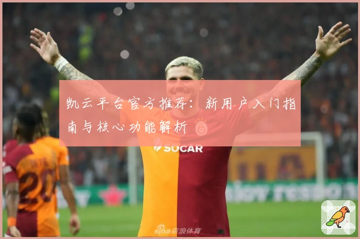 凯云平台官方推荐：新用户入门指南与核心功能解析