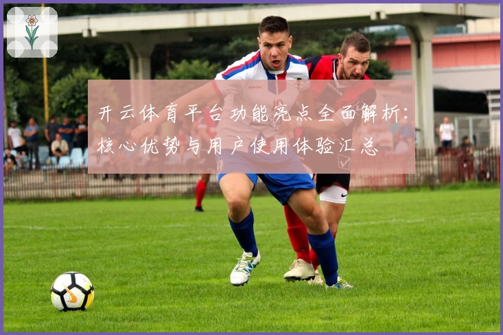 开云体育平台功能亮点全面解析：核心优势与用户使用体验汇总